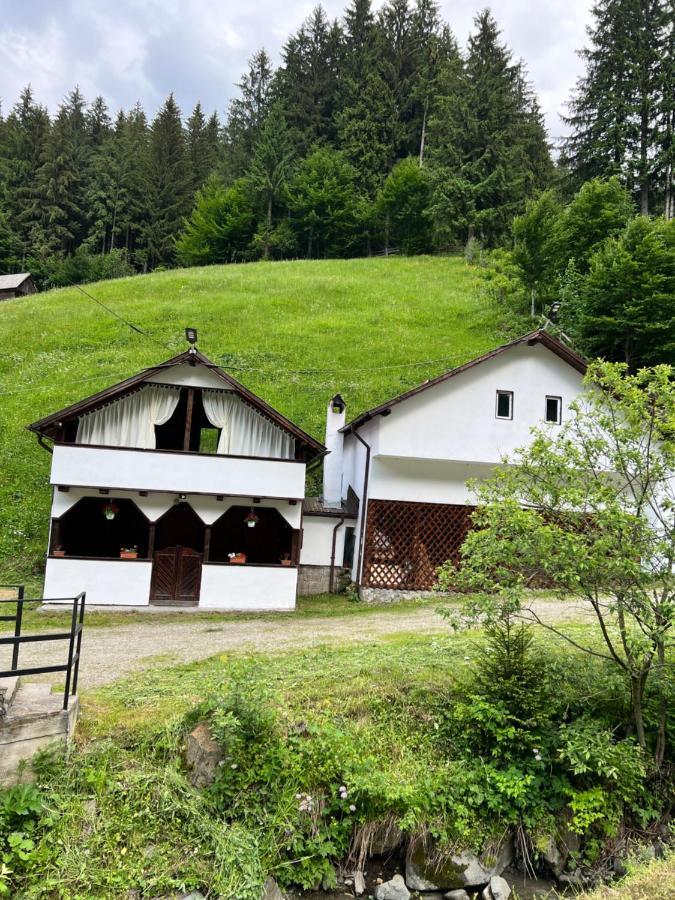 Casuta De Langa Padure Hotel Moeciu De Sus Eksteriør billede