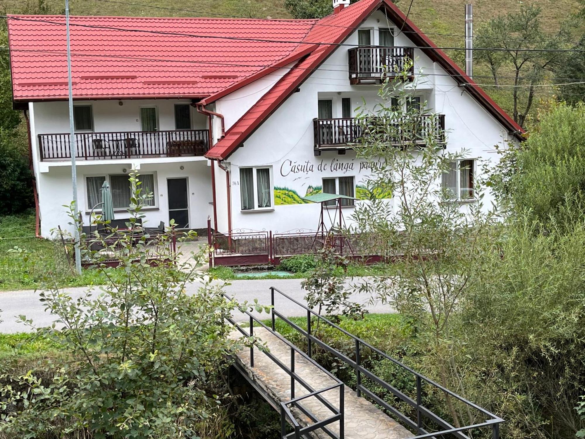 Casuta De Langa Padure Hotel Moeciu De Sus Eksteriør billede