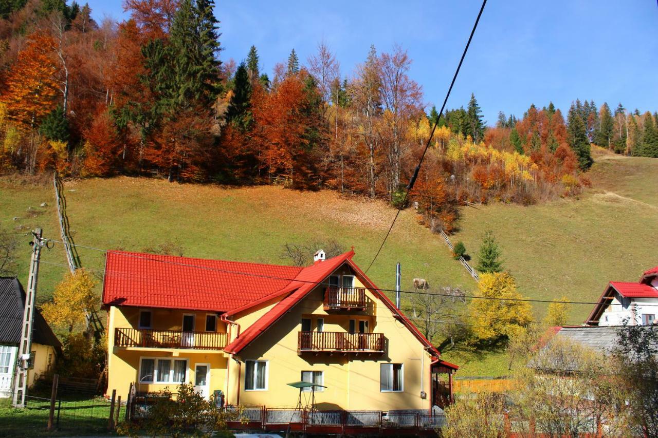 Casuta De Langa Padure Hotel Moeciu De Sus Eksteriør billede